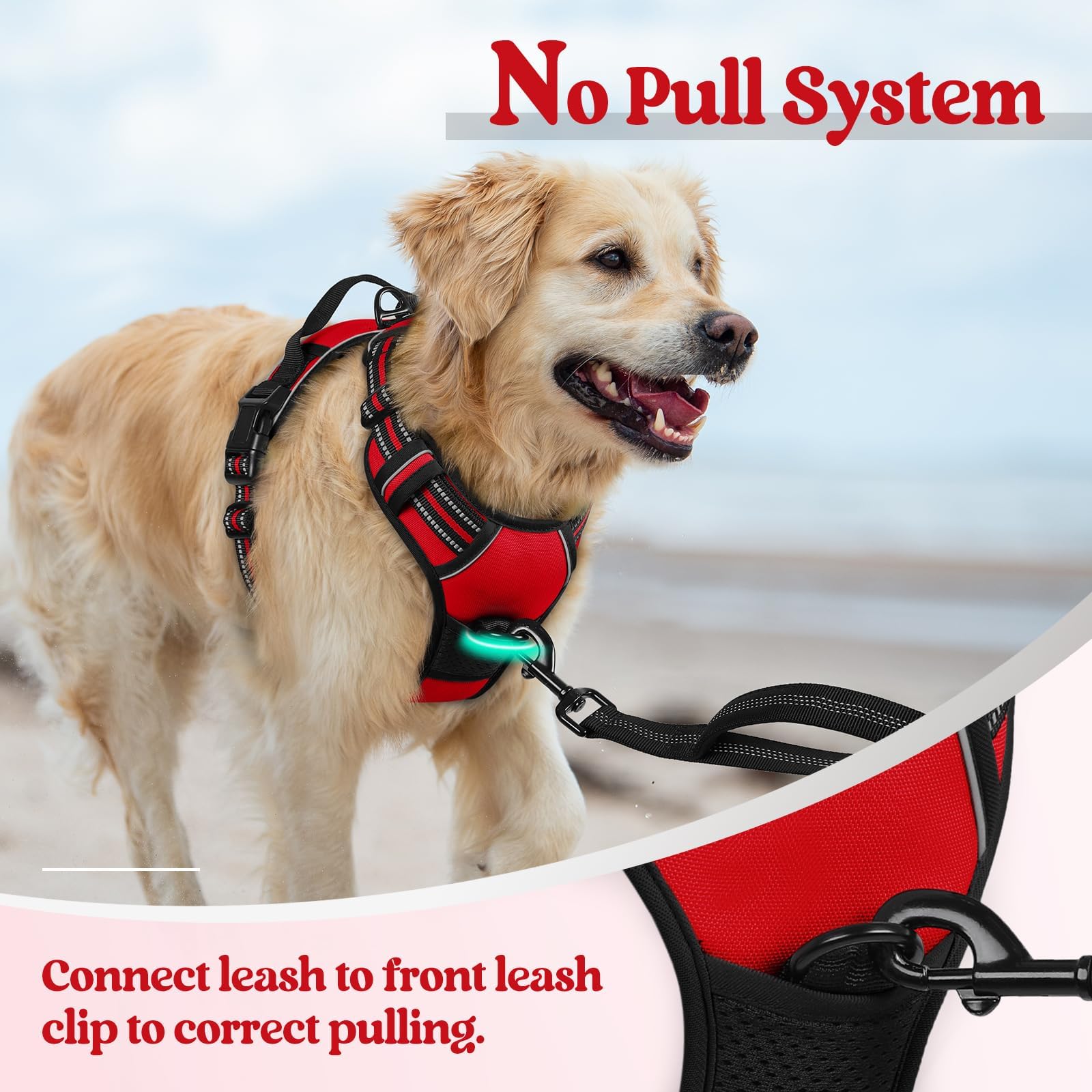 rabbitgoo Dog Harness, No-Pull Pet Harness with 2 Leash Clips Leash