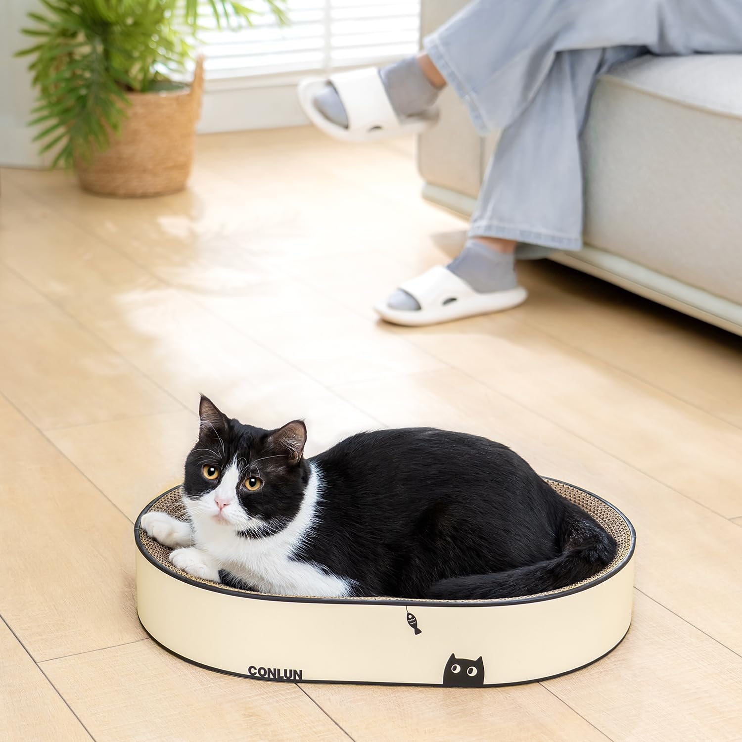 Conlun Large Oval Cat Scratcher Bowl, Cardboard Cat Scratching Pad