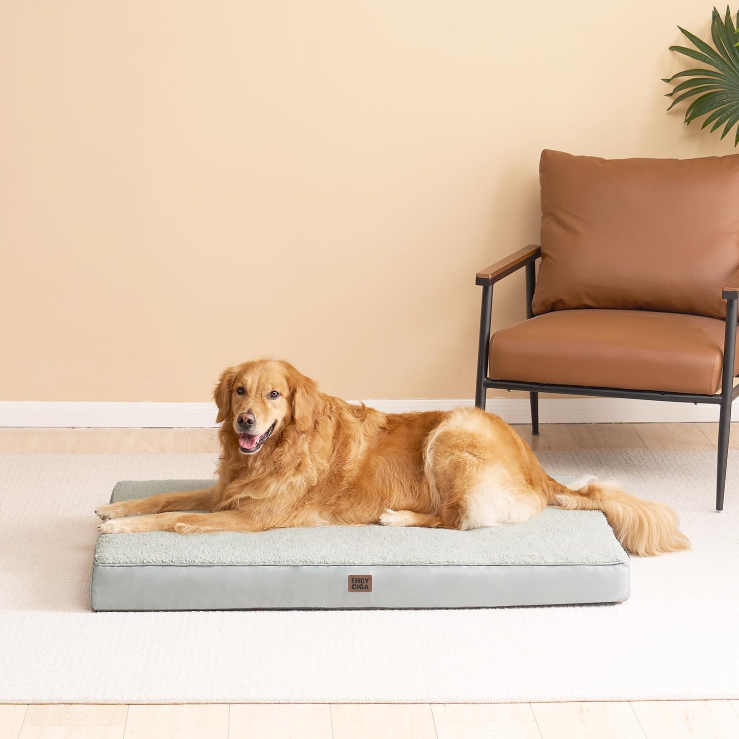 EHEYCIGA Washable Dog Beds for Extra Large Dogs, XL Dog Bed