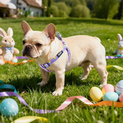 PUPTECK No Pull Easter Dog Harness Soft Adjustable Basic Nylon Harness