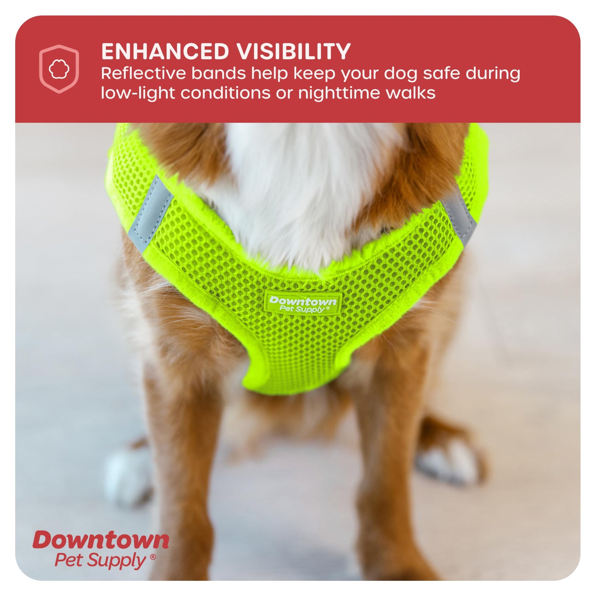 Downtown Pet Supply Step in Dog Harness, XX-Large, Atomic Harness