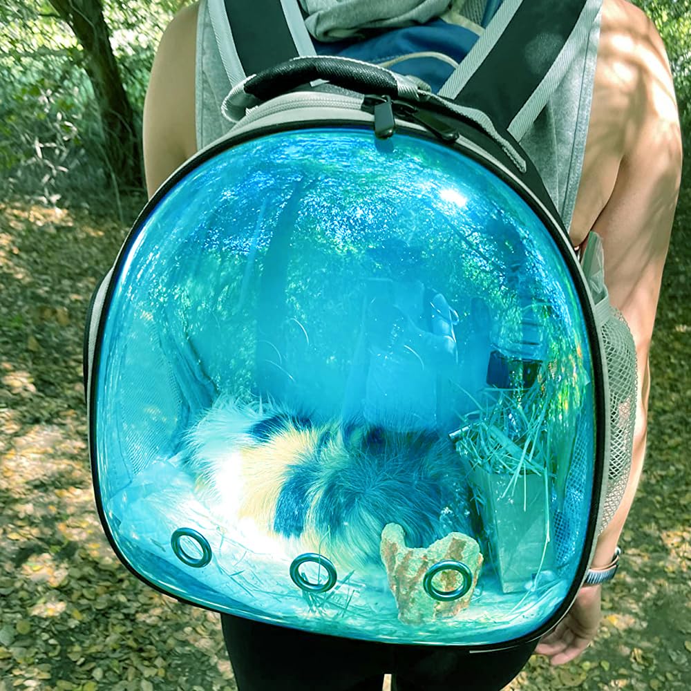 Guinea Pig Carrier, Guinea Pig Backpack with Clear Bubble Carrier