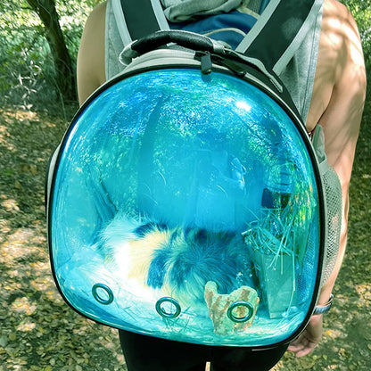 Guinea Pig Carrier, Guinea Pig Backpack with Clear Bubble Carrier
