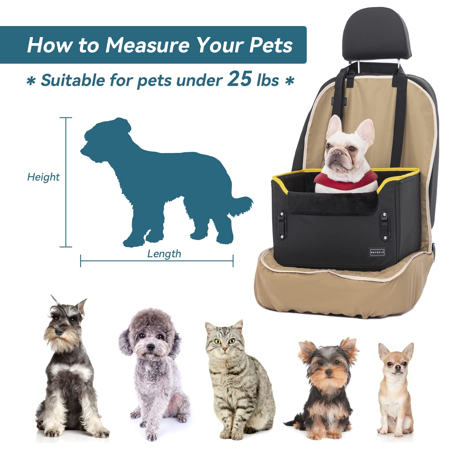 PETSFIT Small Dog Car Seat Patented Safety Buckles Safety Tether Seat