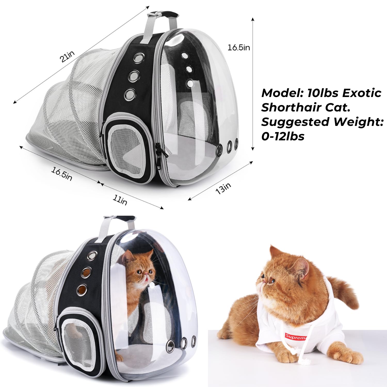 Lollimeow Cat Carrier Backpack, Expandable Bubble Pet Carrier
