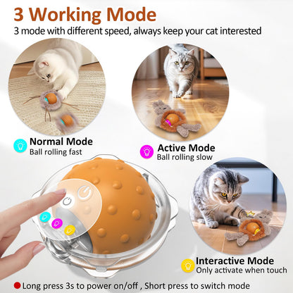 Sofolor Interactive Cat Toys for Indoor Cats, Electric Cat Mouse Toy