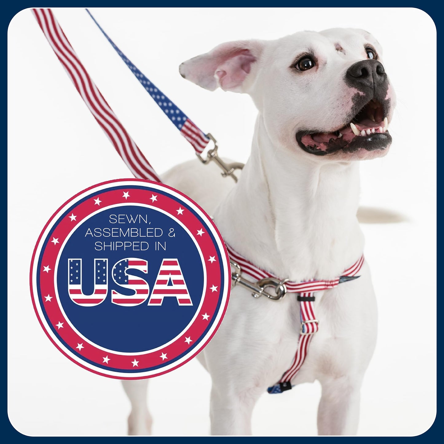 2 Hounds Design Freedom No Pull Dog Harness, Adjustable Harness