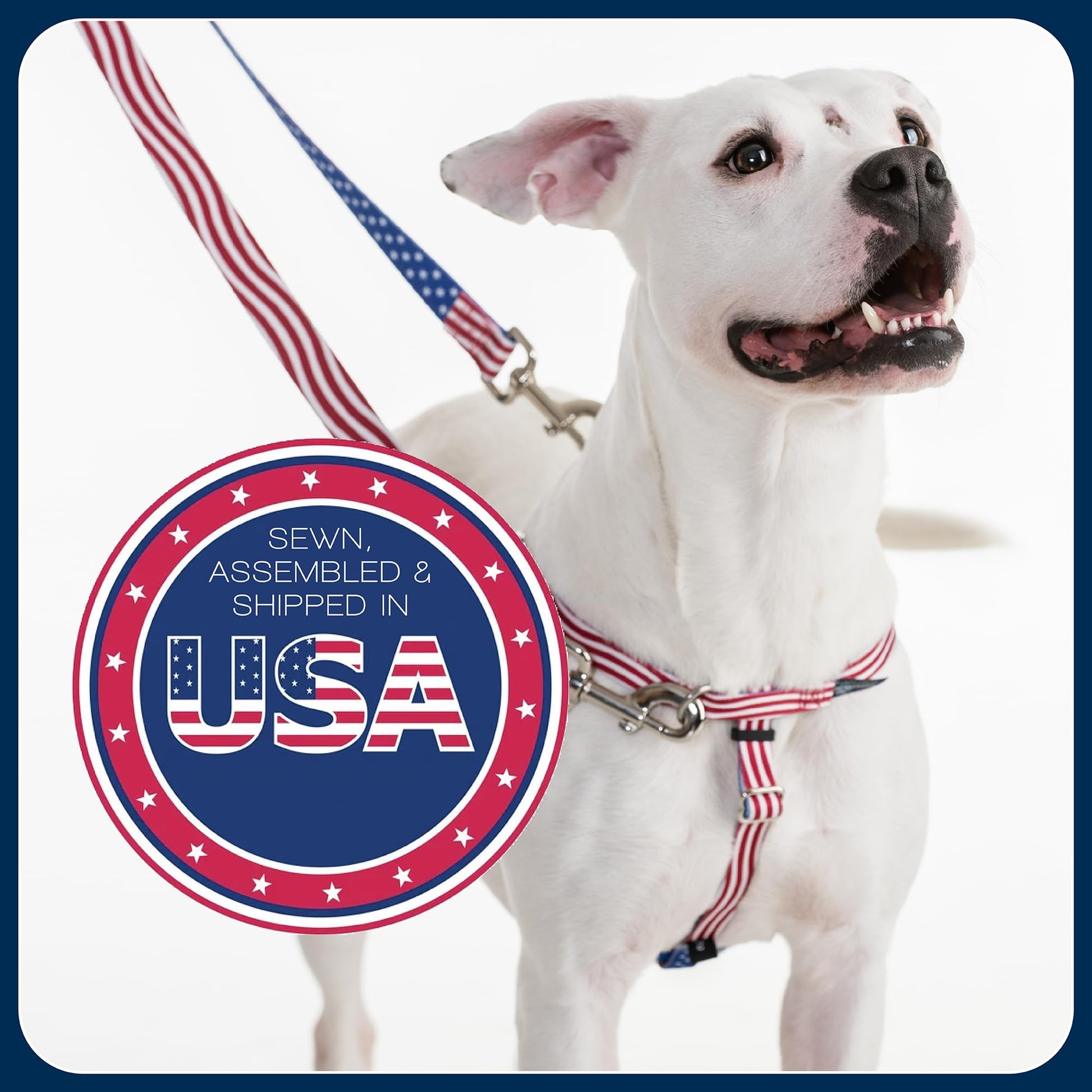2 Hounds Design Freedom No Pull Dog Harness, Adjustable Harness