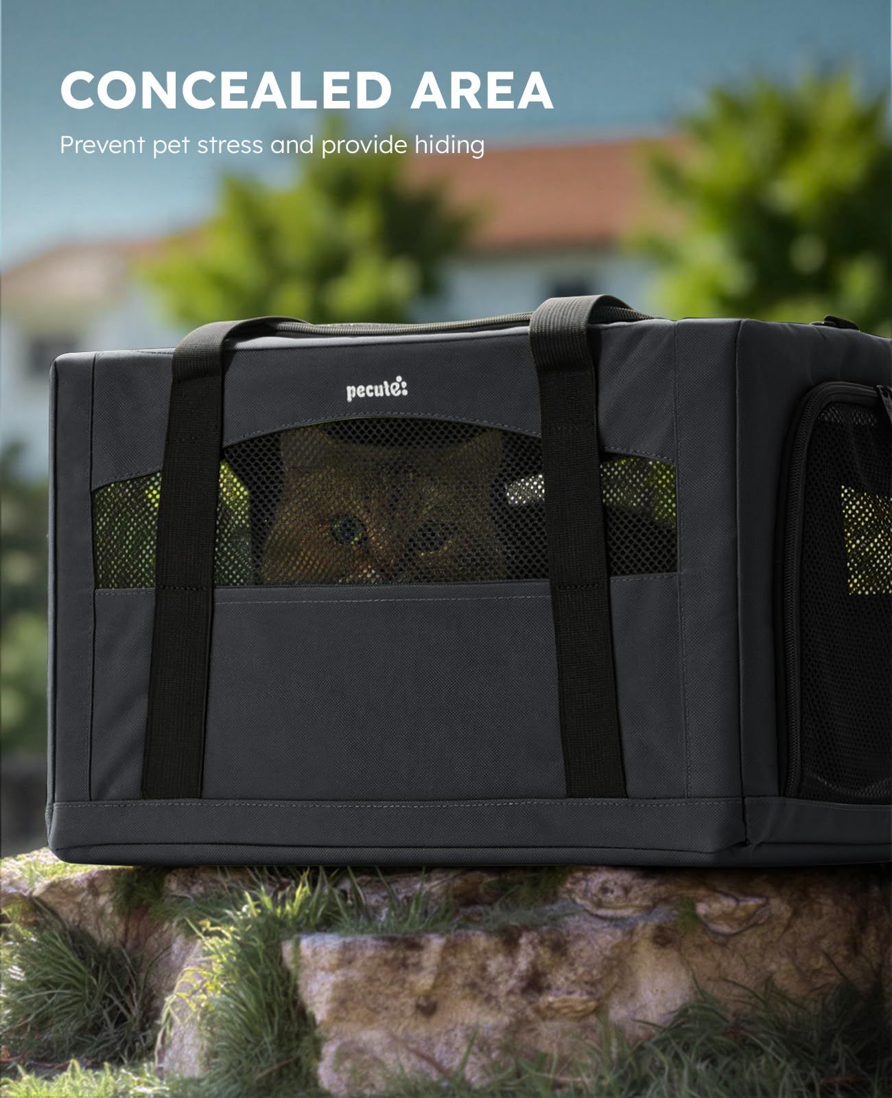 Pecute Cat Carrier Stable XL, Pet Carrier Breathable and Portable, Bag