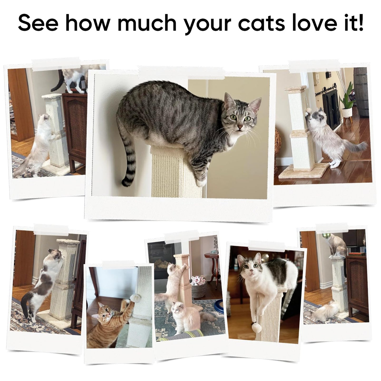 AGYM Cat Scratching Post for Large Cats, Cat Scratcher for Scratcher
