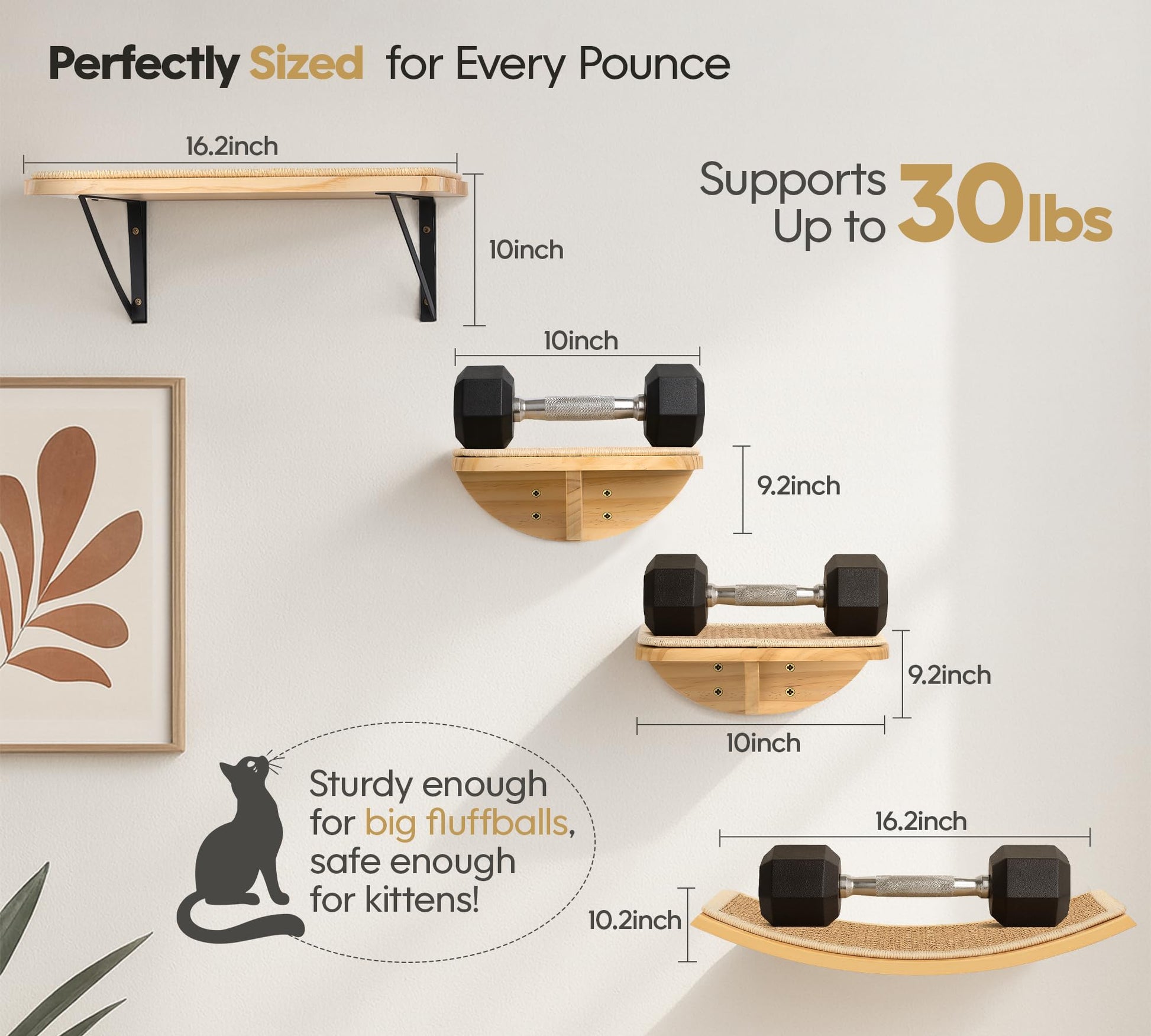 Cat Window Perches, Curved Cat Wall Sisal Mat Bed and 2 Floating Bed