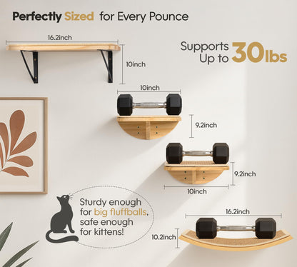 Cat Window Perches, Curved Cat Wall Sisal Mat Bed and 2 Floating Bed