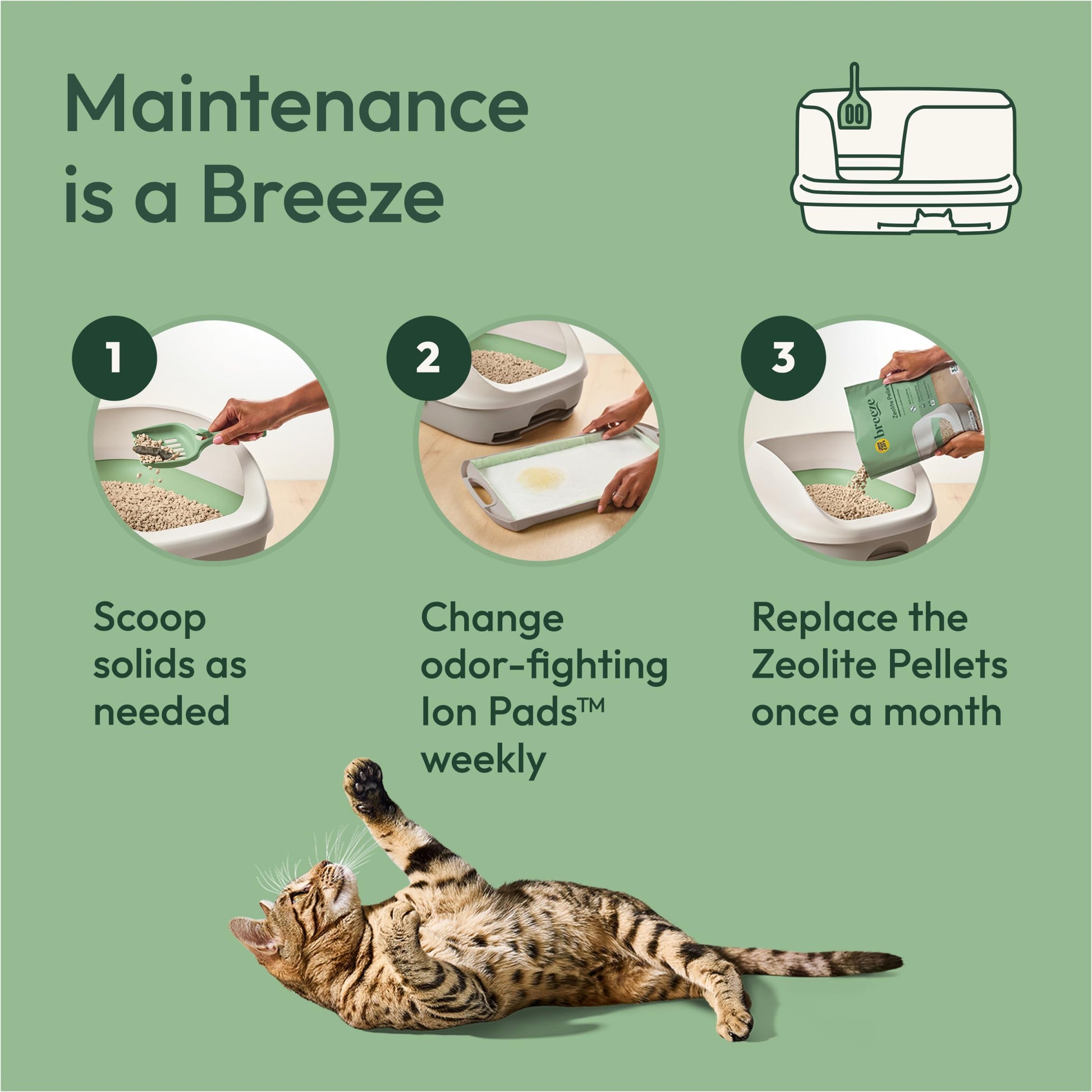 Purina Tidy Cats Litter System, Non-Clumping, Breeze XL Odor Box