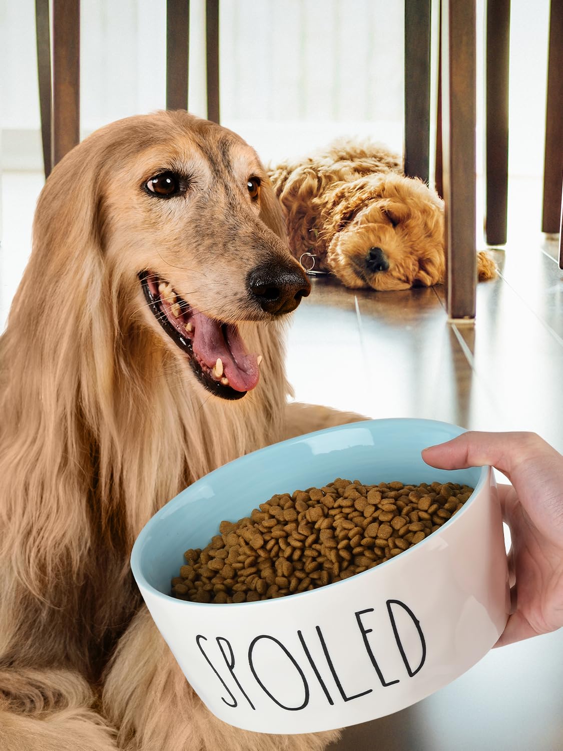 WoofinPets Ceramic Dog Bowl 8'' Extra Large Food Water Dog Bowl, Bowl