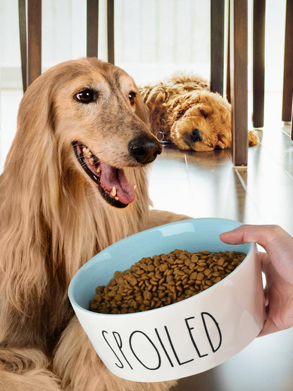 WoofinPets Ceramic Dog Bowl 8'' Extra Large Food Water Dog Bowl, Bowl