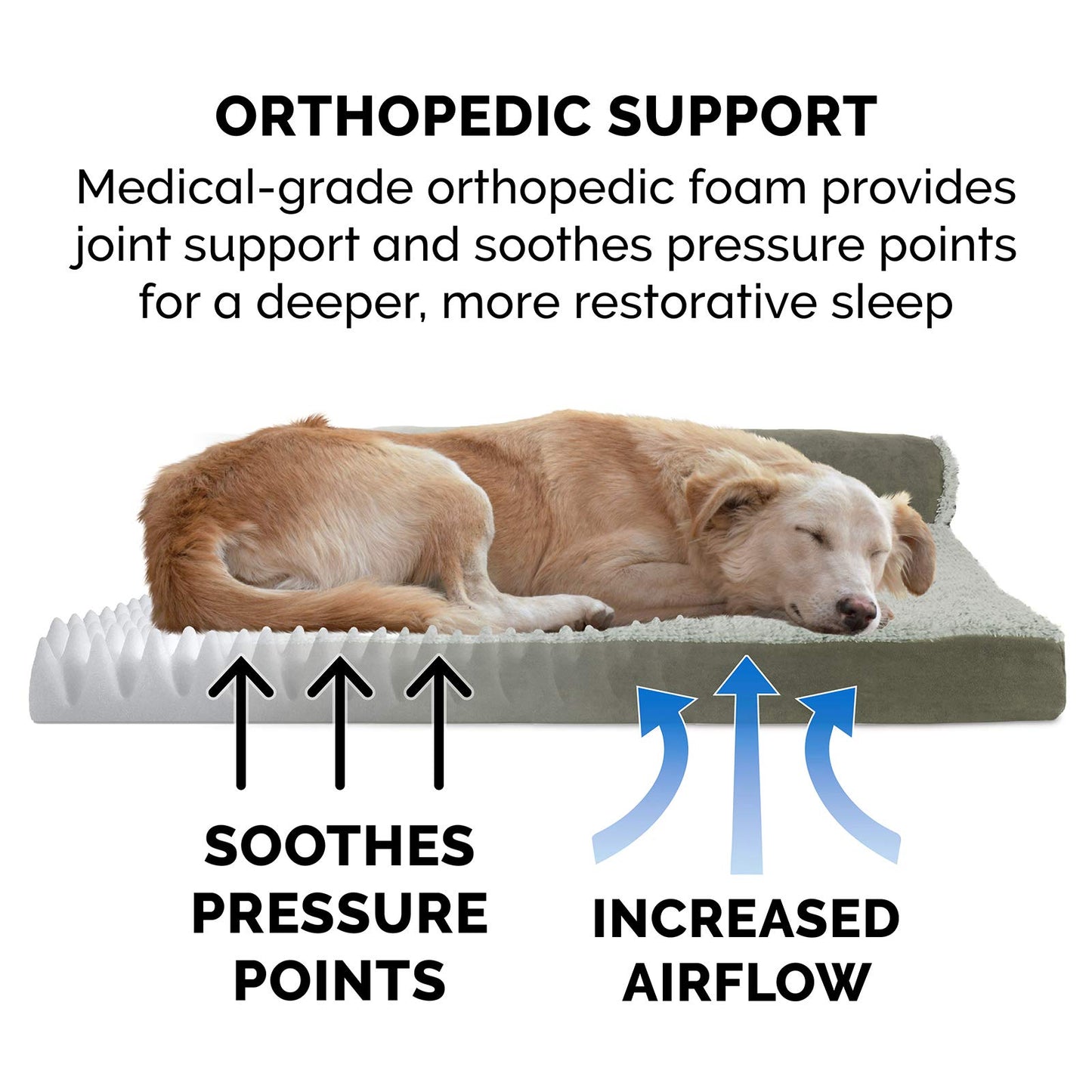 Furhaven Orthopedic Dog Bed for Large/Medium Dogs w/ Removable Bed