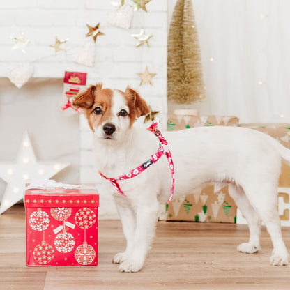 PUPTECK No Pull Christmas Dog Harness Soft Adjustable Basic Harness
