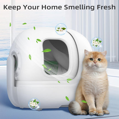 6 Packs Smelling Fresh with N50-2.0 Odor Eliminator Exclusive for Box