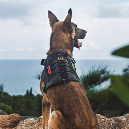 OneTigris Tactical Dog Harness Fire Watcher Comfortable Patrol Vest