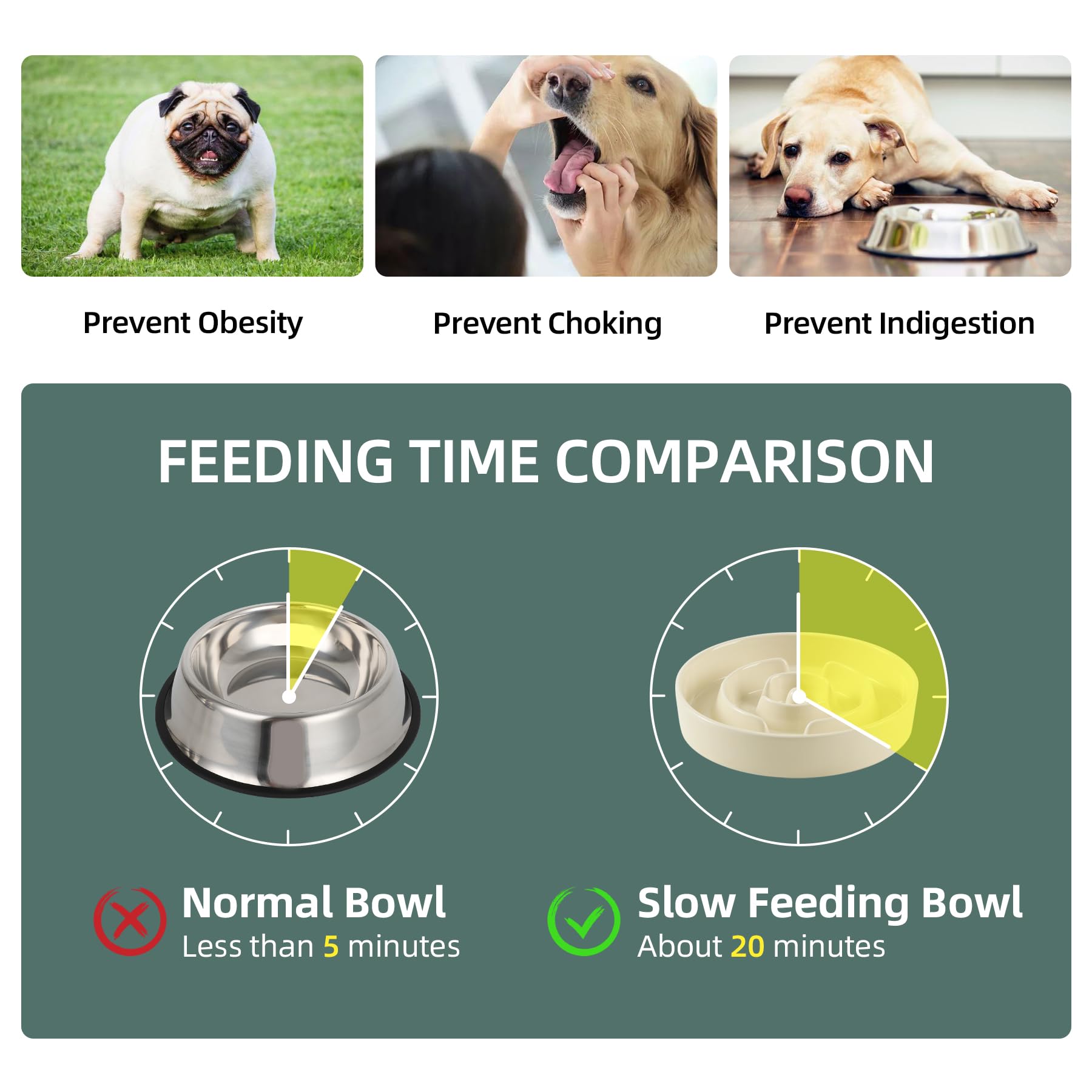 Havniva Ceramic Raised Slow Feeder Dog Bowl Set, Elevated Bowl Set