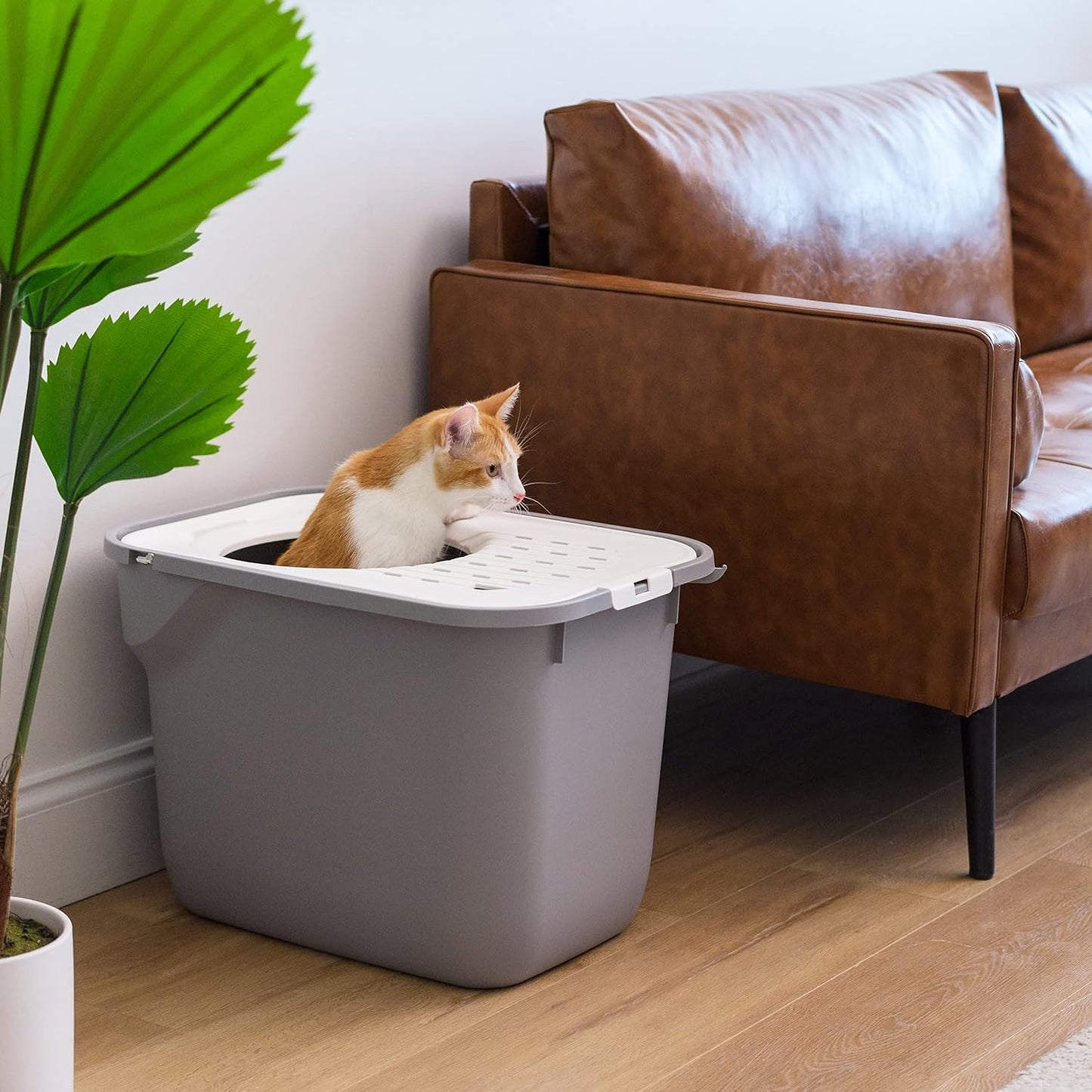 IRIS USA Cat Litter Box Large Top Entry with Lid, Enclosed Litter Box