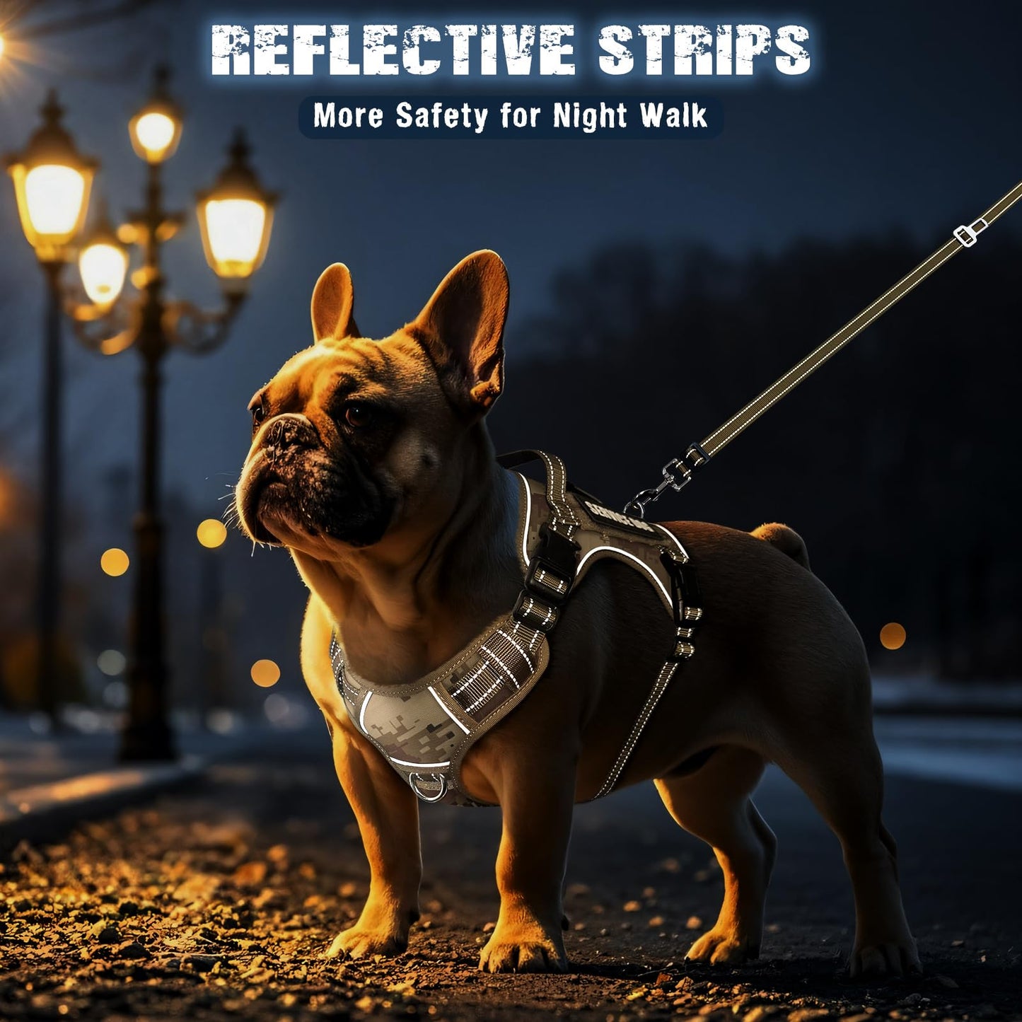 MOOGROU Tactical Dog Harness and Leash Set Small Sized Dog,Heavy Set