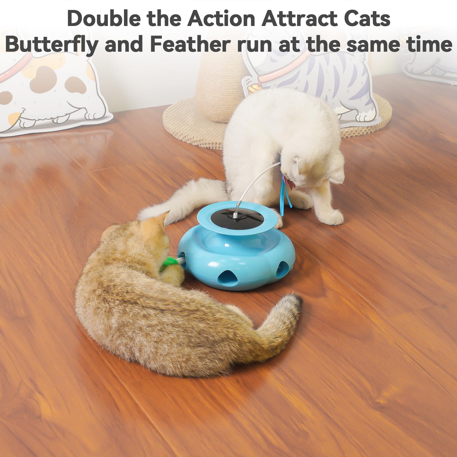 Xuyub 3in1 Interactive Cat Toys for Indoor Cats Balls