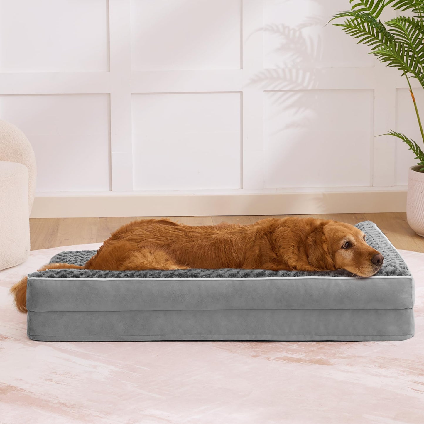 Aeroluxe Dog Beds Large Sized Dogs, XL Orthopedic Dog Beds