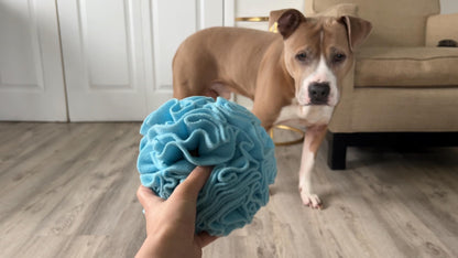 Glory To Dog Medium Breed Snuffle Interactive Foraging Dog Puzzle Ball