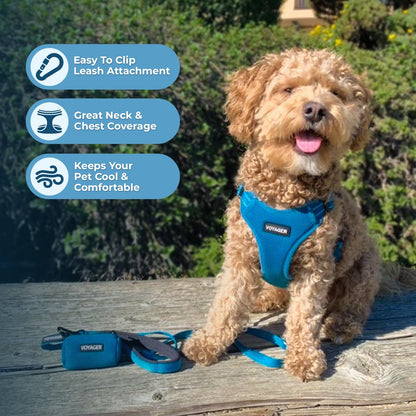 Best Pet Supplies Voyager Adjustable Step-in Flex Breathable Mesh Set