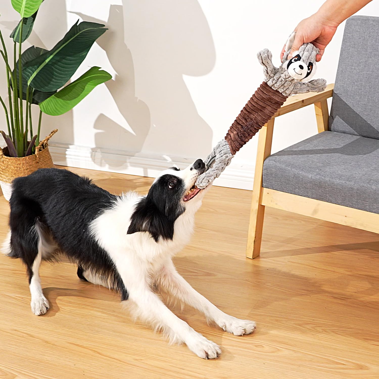 Sedioso Tug of War Dog Toy, Durable Large Breed Dog Toy, Though Toy