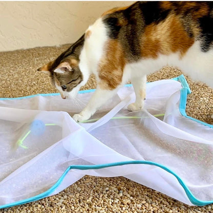 Sheer Fun For Cats Toy, Renews Old Toys, Engages Hunting Ball