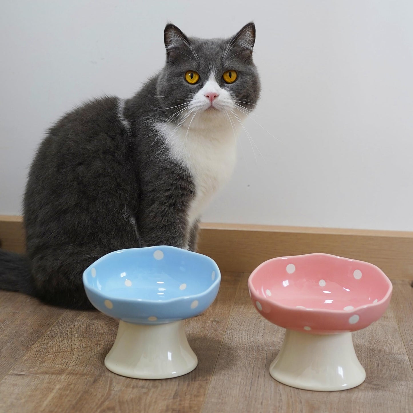 TRUNDISAN Ceramic Raised Cat Bowl, Mushroom Shaped Tilted Feeding Bowl