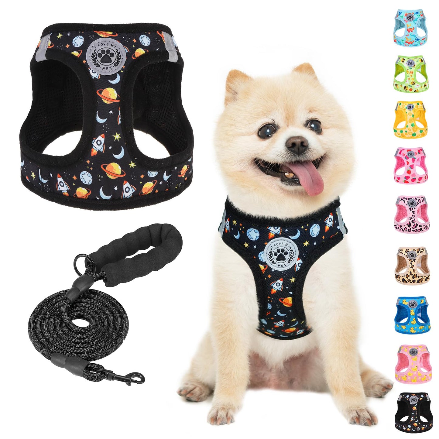 BEAUTYZOO Dog Harness Small Sized and Leash Set, Step-in Soft Set