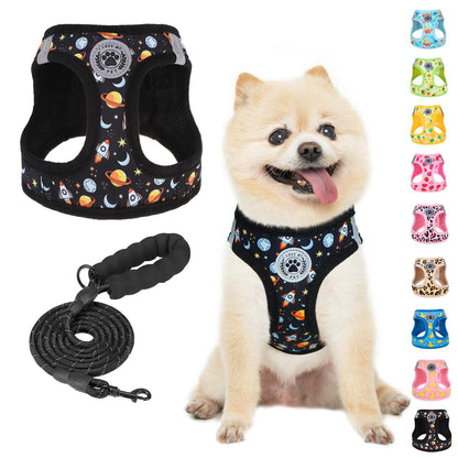 BEAUTYZOO Dog Harness Small Sized and Leash Set, Step-in Soft Set