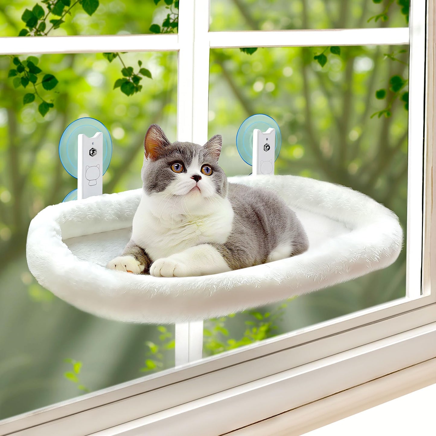 Cat Window Perch, Cordless Cat Hammock, Foldable Cats Window Bed