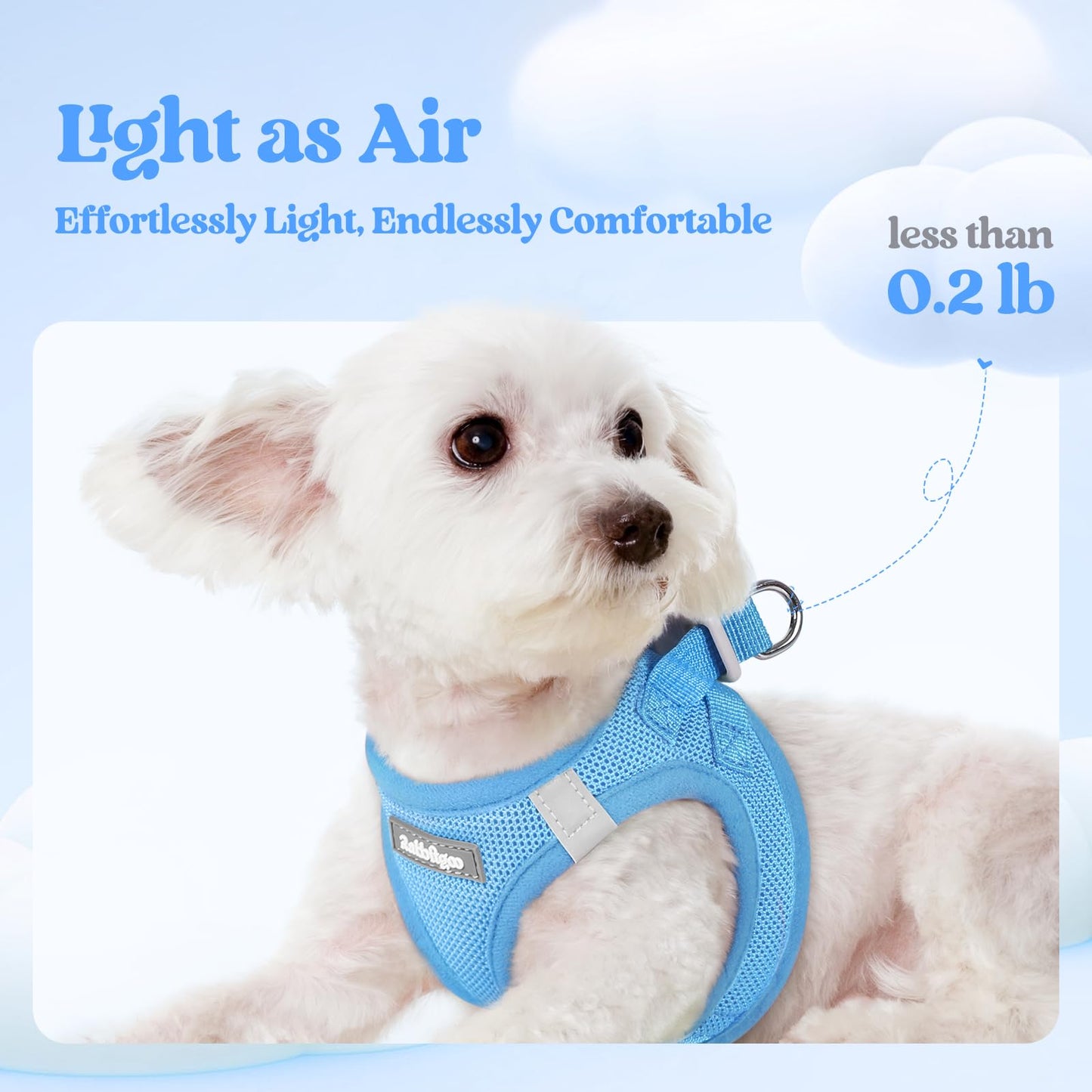 rabbitgoo Dog Harness Small Sized and Leash Set, Step in Soft Set