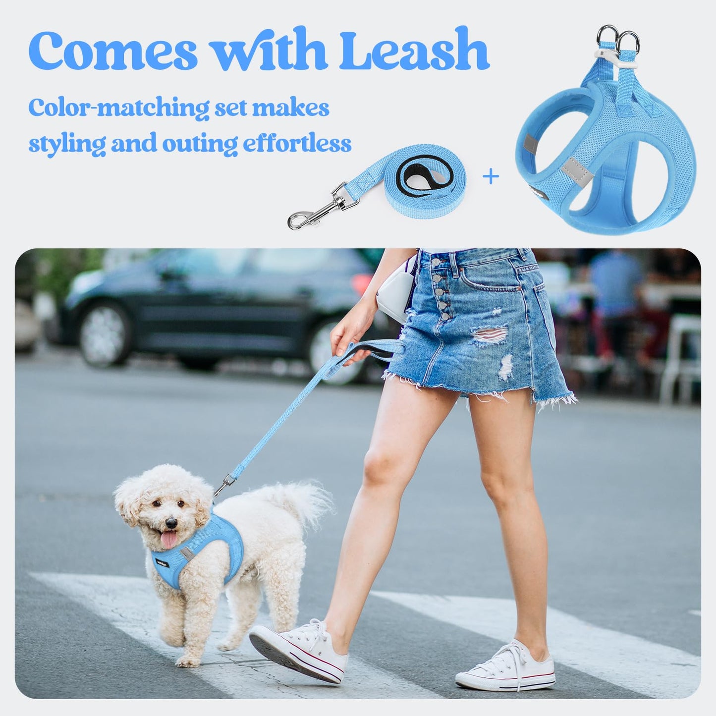 rabbitgoo Dog Harness Small Sized and Leash Set, Step in Soft Set