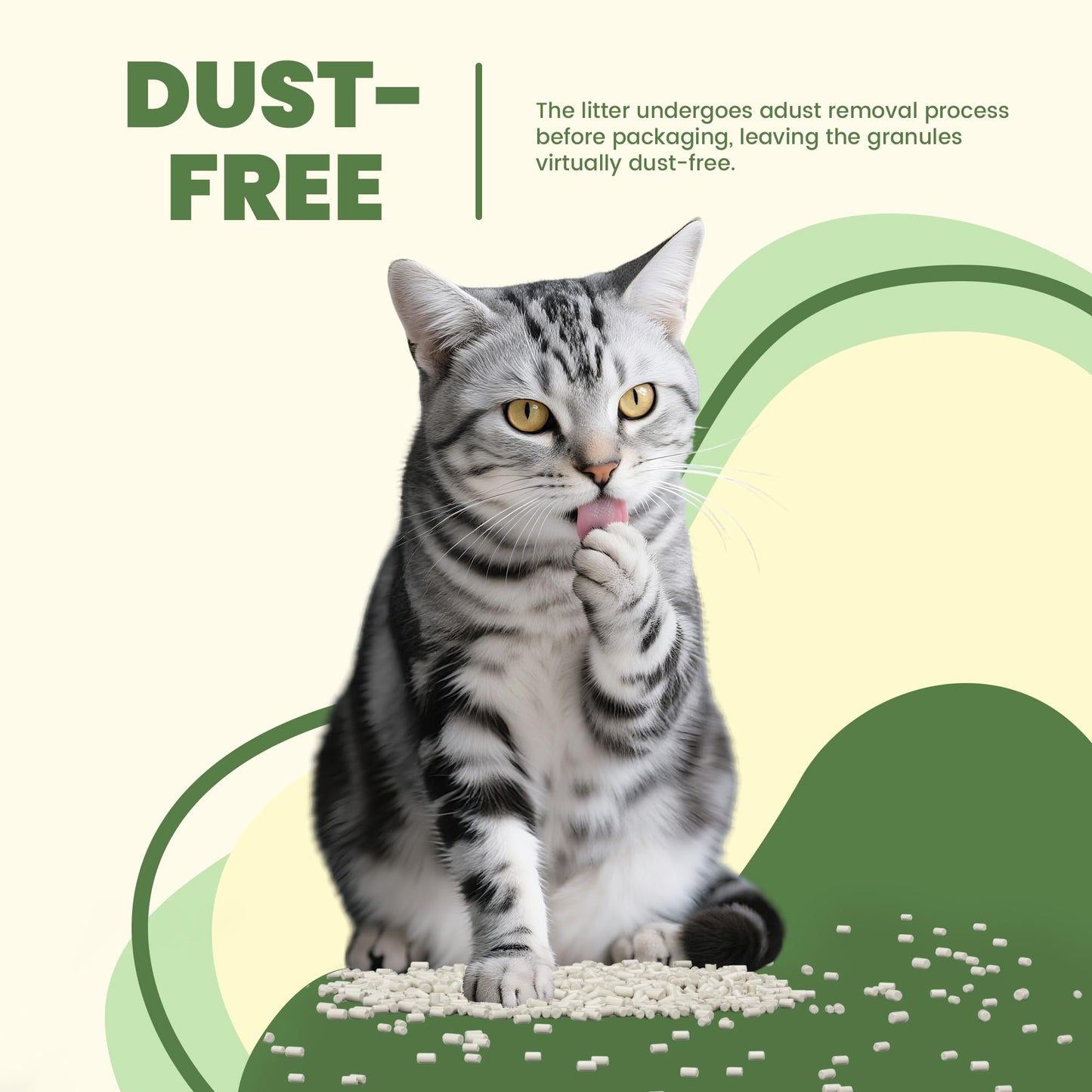 Enhanced Cat Litter Pellets Generic Litter Refills Exclusively Box