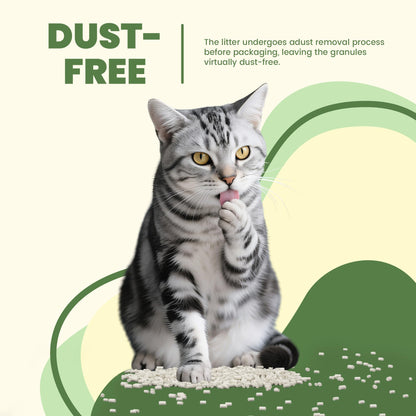 Enhanced Cat Litter Pellets Generic Litter Refills Exclusively Box