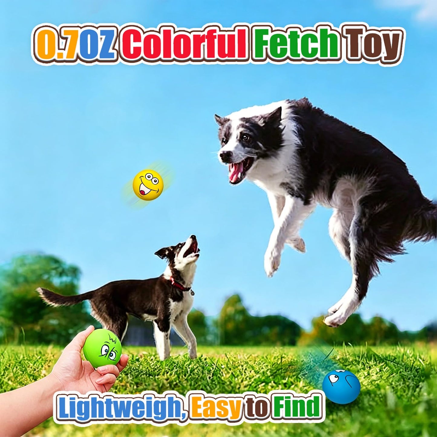 HOLYSTEED Latex Dog Squeaky Toys, Rubber Soft Small Dog Toys Balls