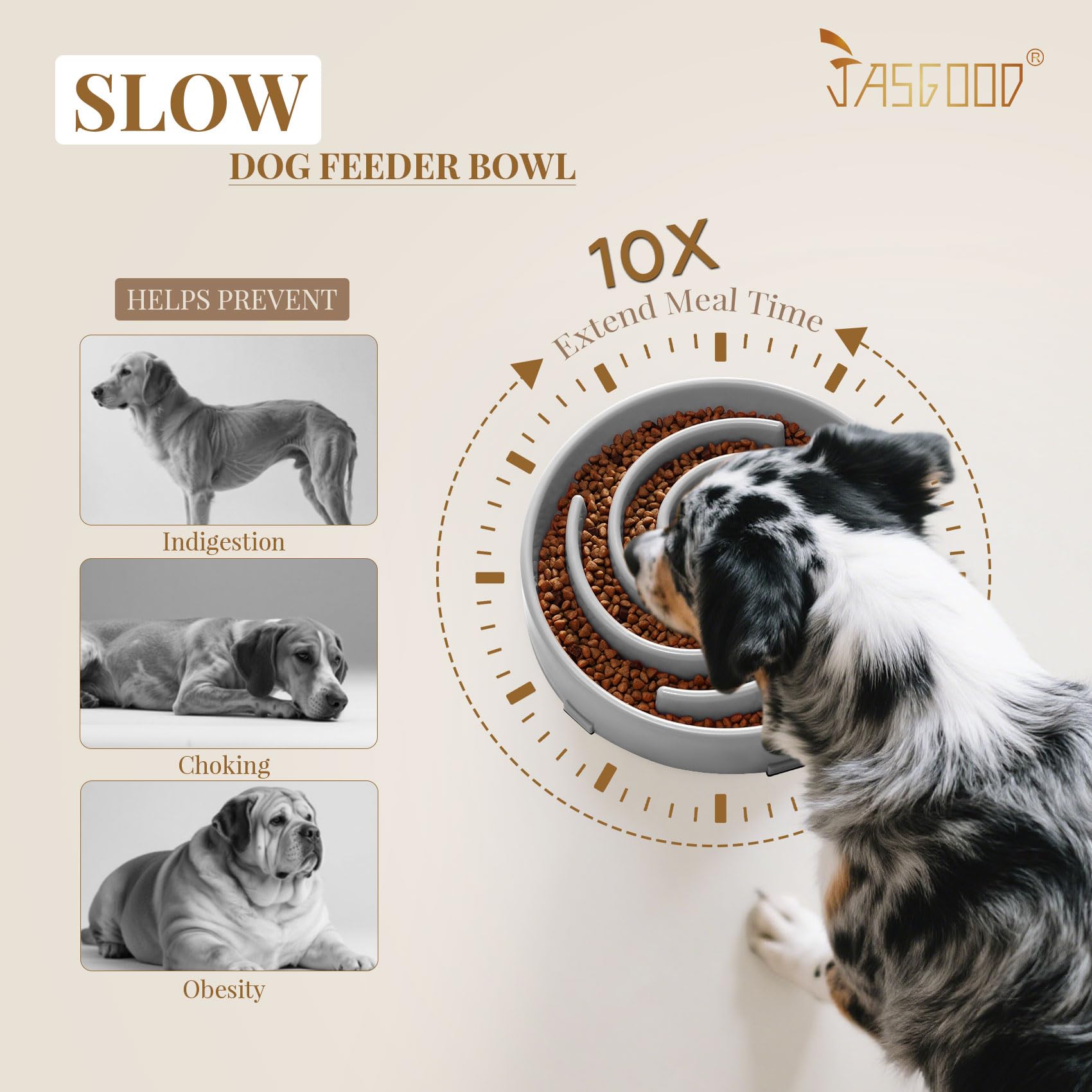 JASGOOD Slow Feeder Dog Bowl Anti-Gulping, Prevents Bloat Choking Bowl