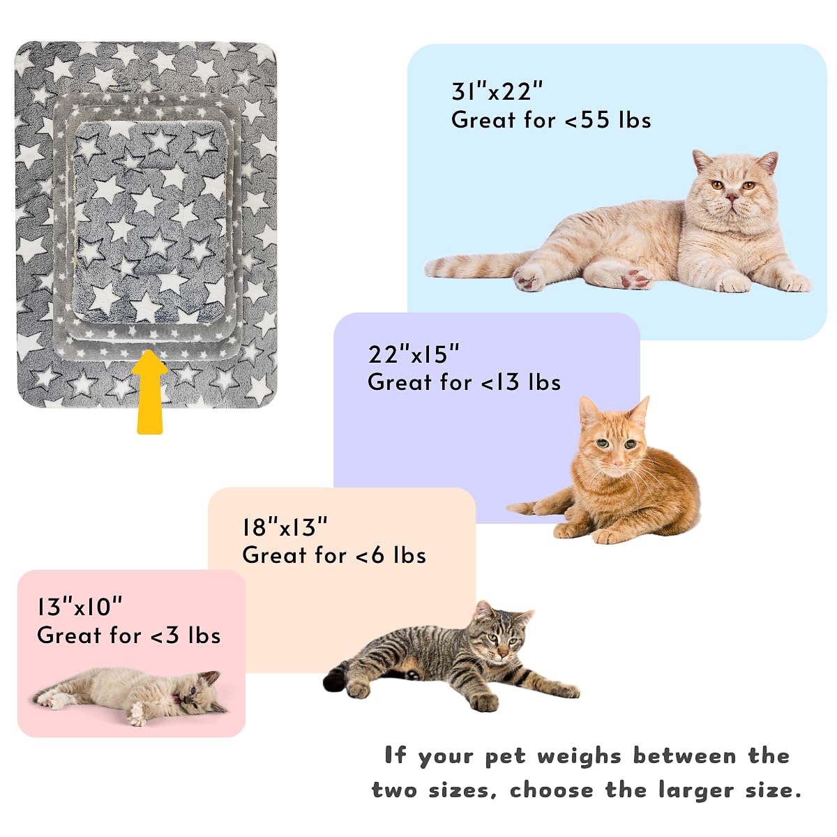 Tierecare 2 Pack Cat Blanket for Indoor Cats Ultra Soft and Warm Bed