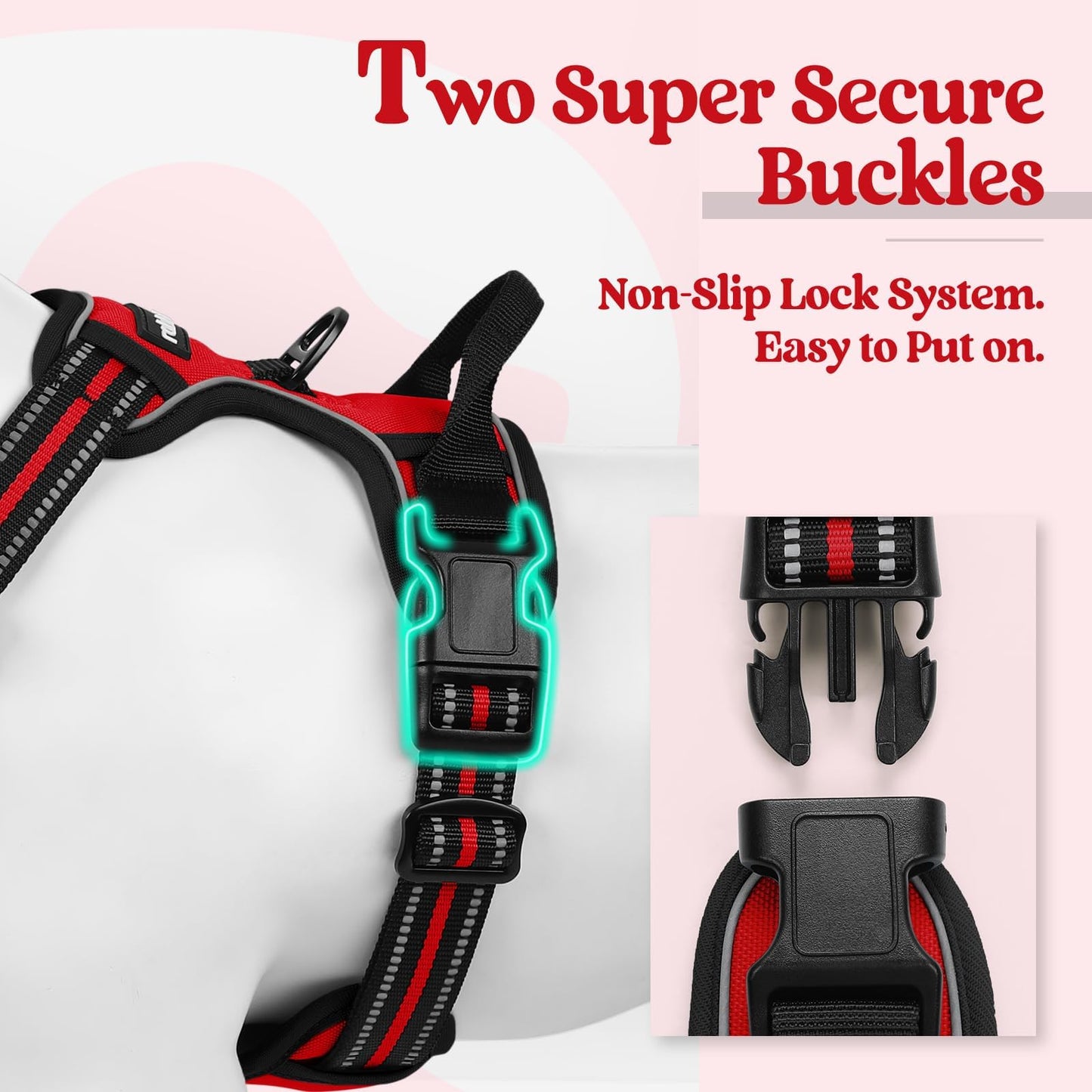 rabbitgoo Dog Harness, No-Pull Pet Harness with 2 Leash Clips Leash