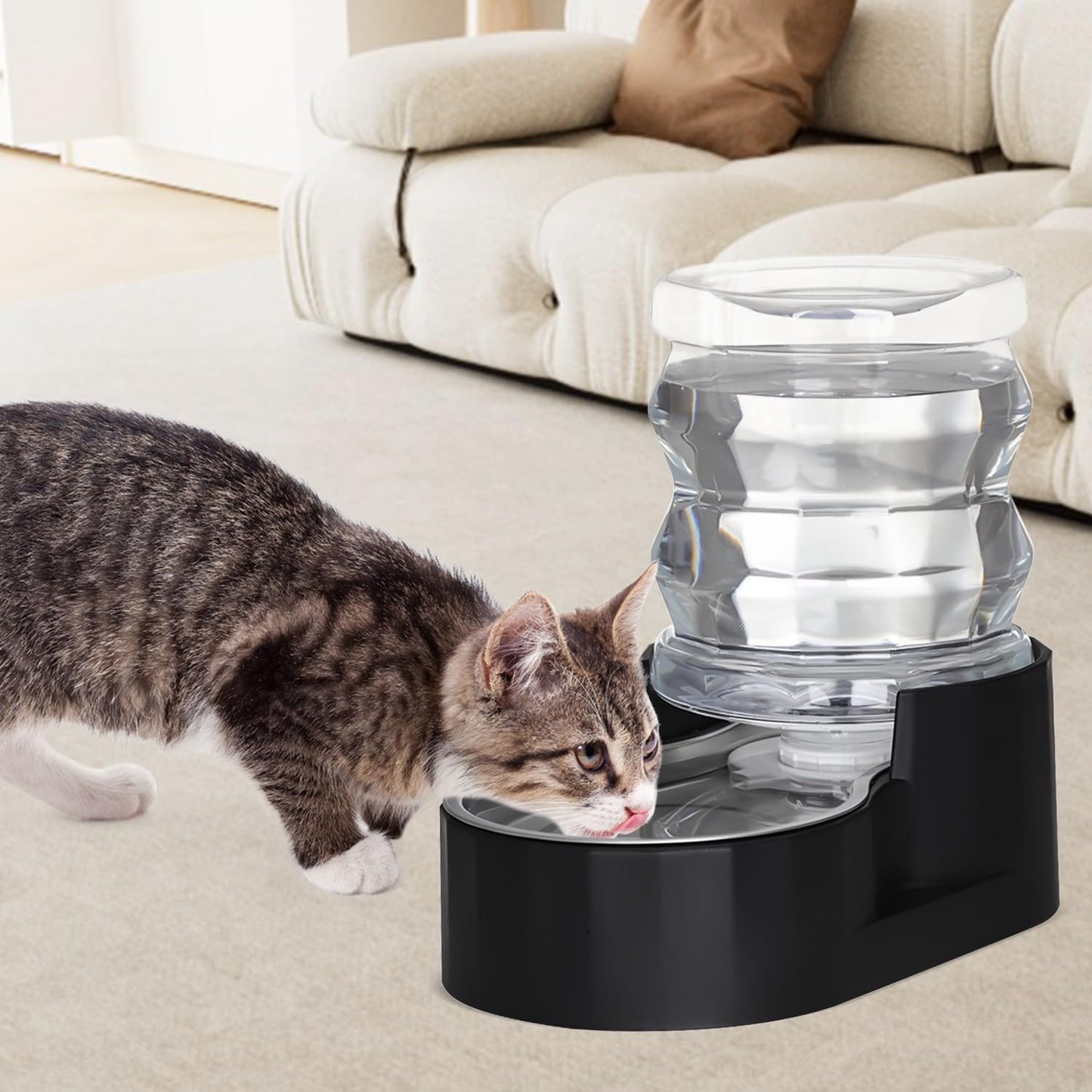 RIZZARI Dog Food Water Dispenser: Large Stainless Steel Feeder