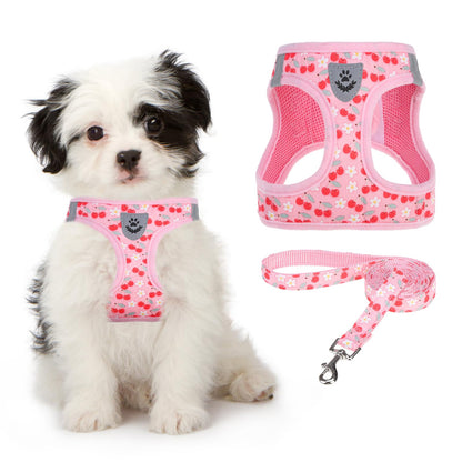 KOOLTAIL Dog Harness for Small Medium Dogs,Dog Harness and Leash Set