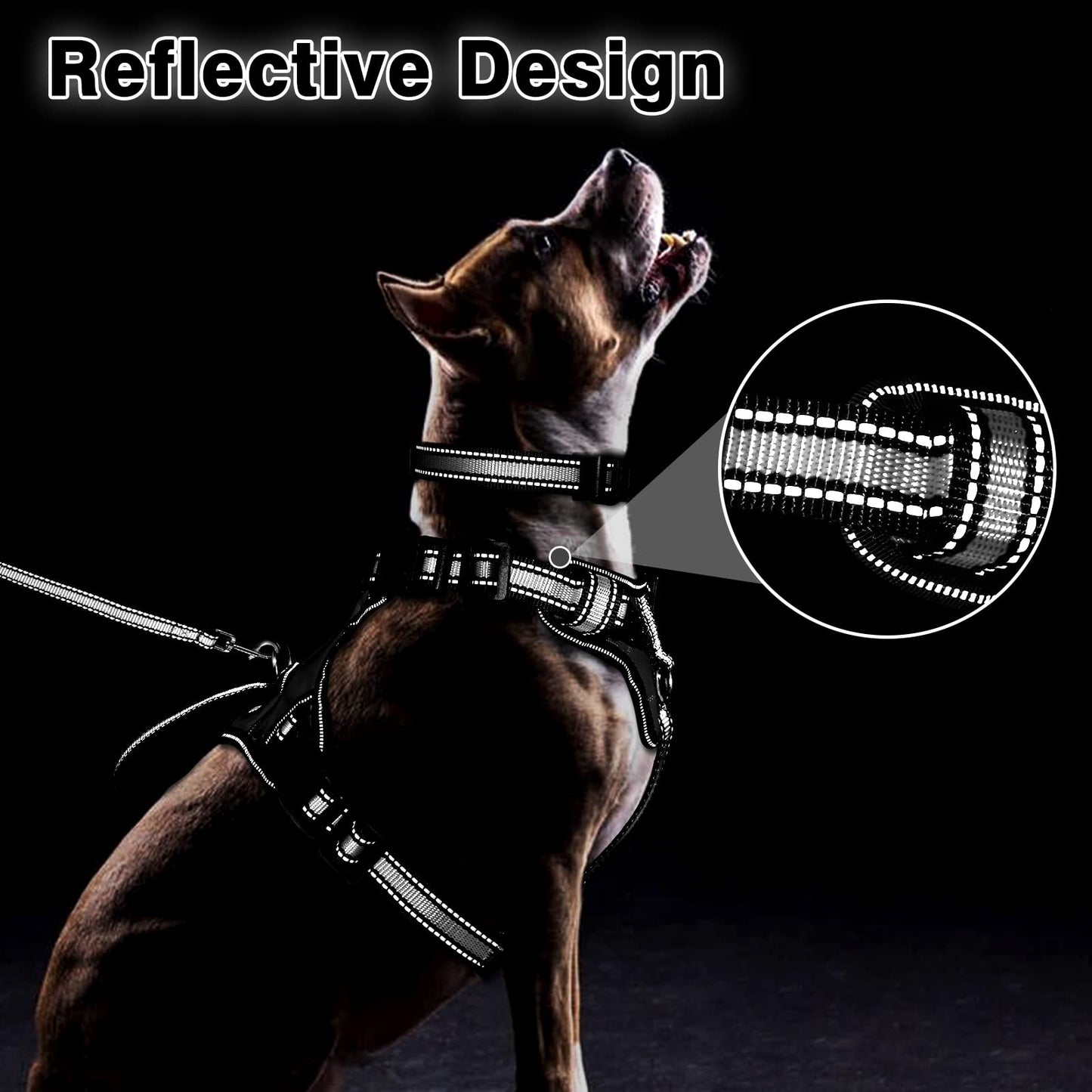 WINSEE Pet Harness Collar and Leash Set, Reflective Dog Harness Collar