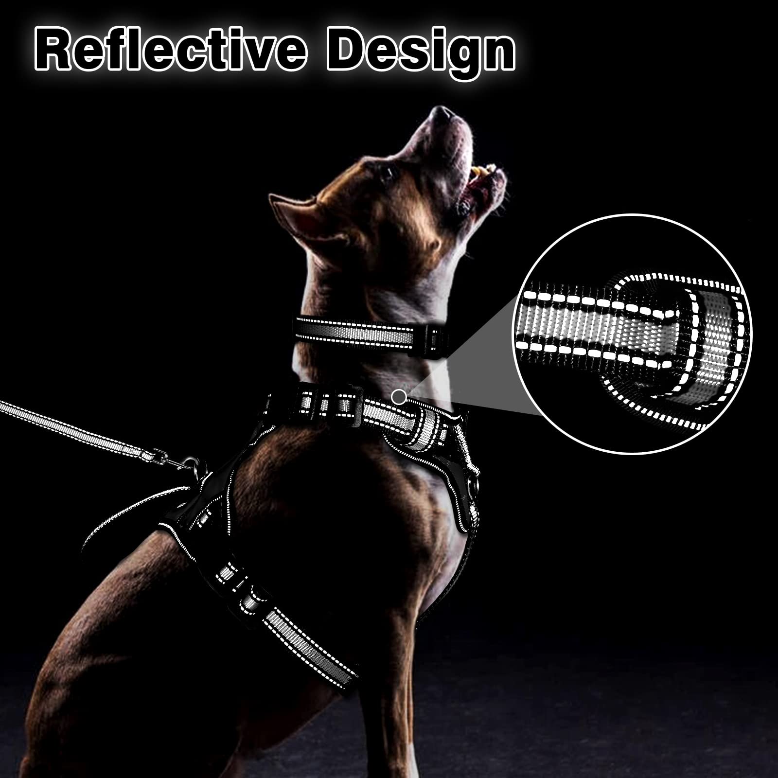 WINSEE Pet Harness Collar and Leash Set, Reflective Dog Harness Collar