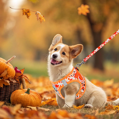 EXPAWLORER Thanksgiving Autumn Puppy Harness Dog Collar and Leash