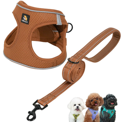 BELLA PAL Step in Vest Harness for Small and Medium Dogs, No Pull Set